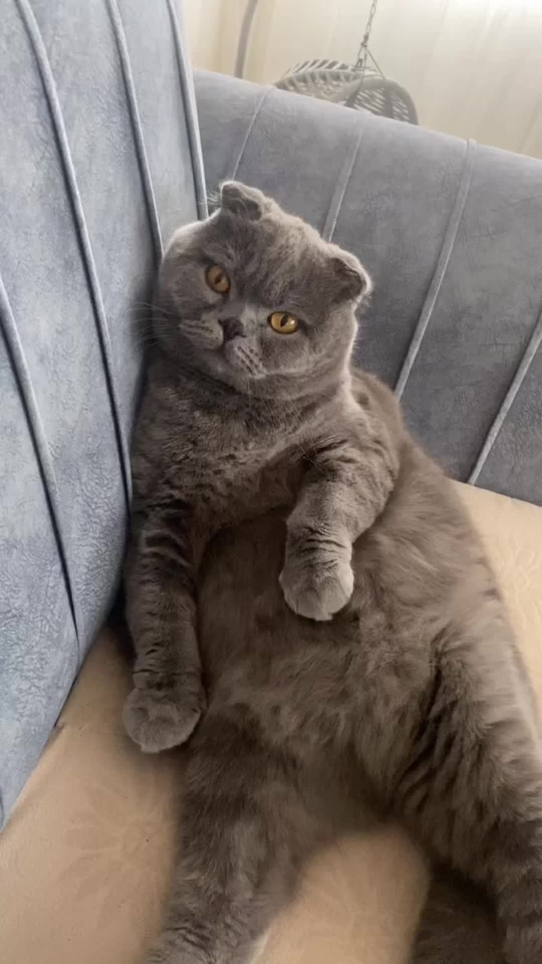 @Aylin Gül