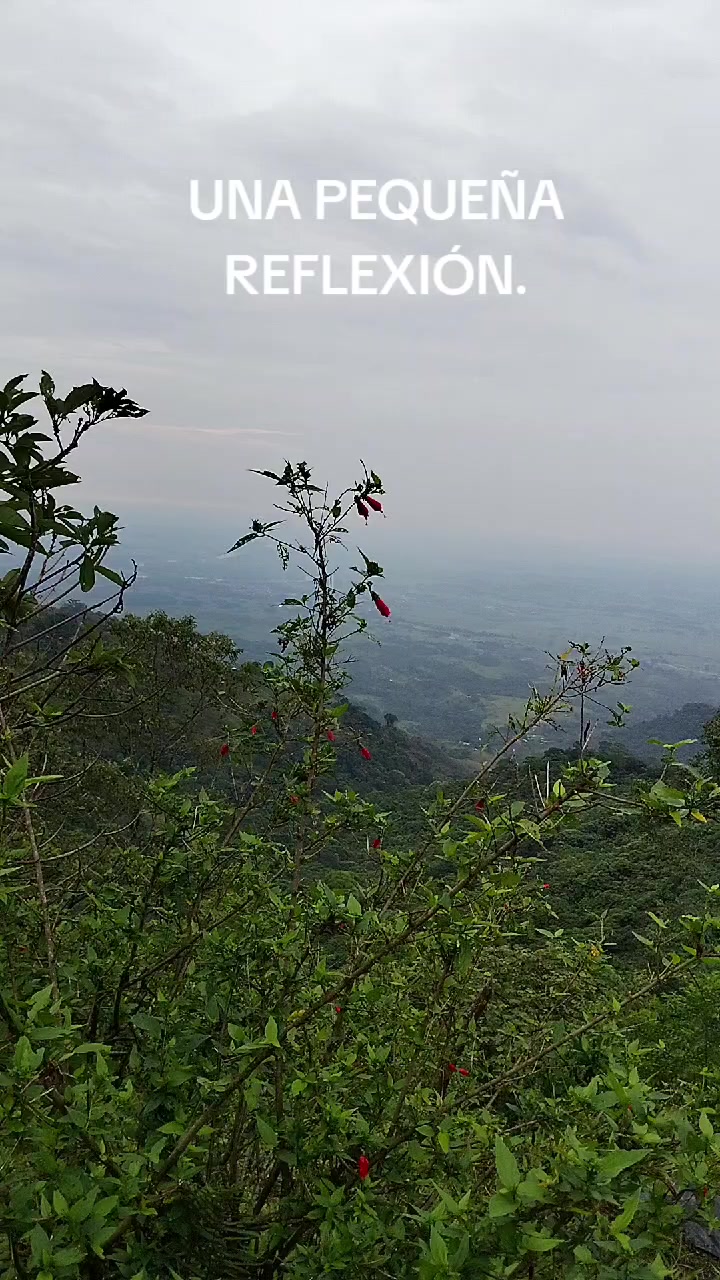 @ALEXANDER .F