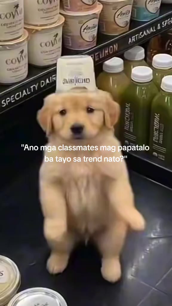 @11-JADE