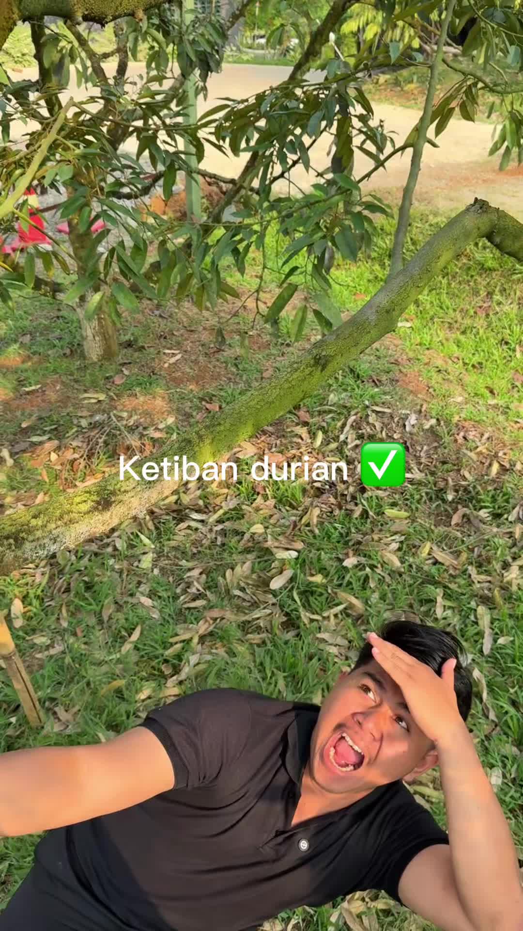 @AA KADU