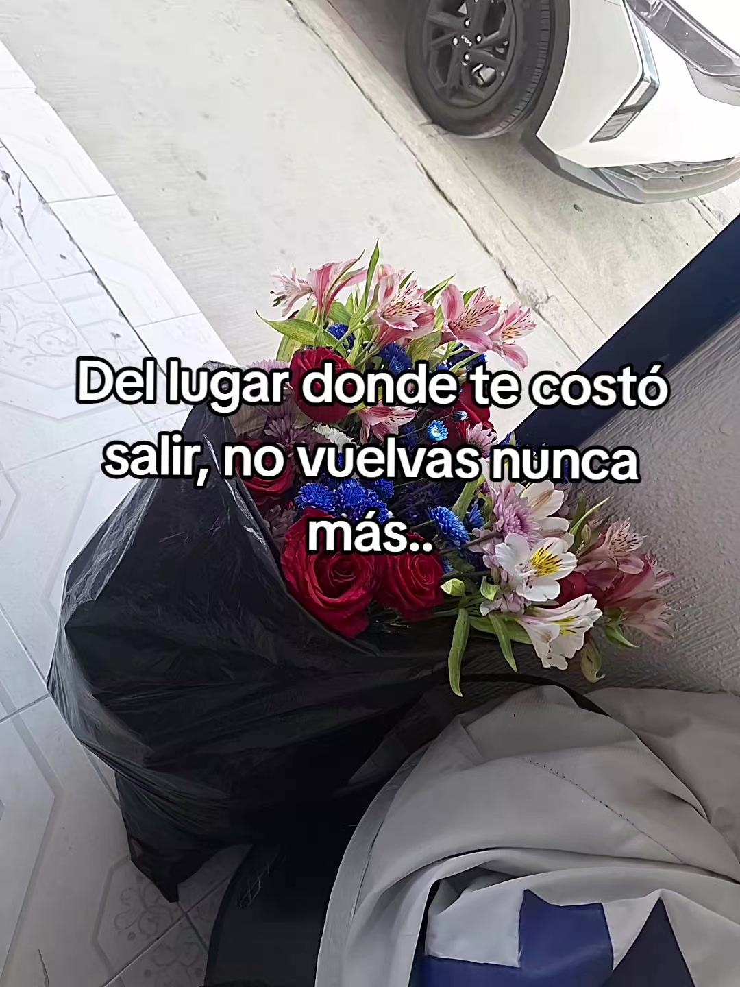 @MaJa Grace