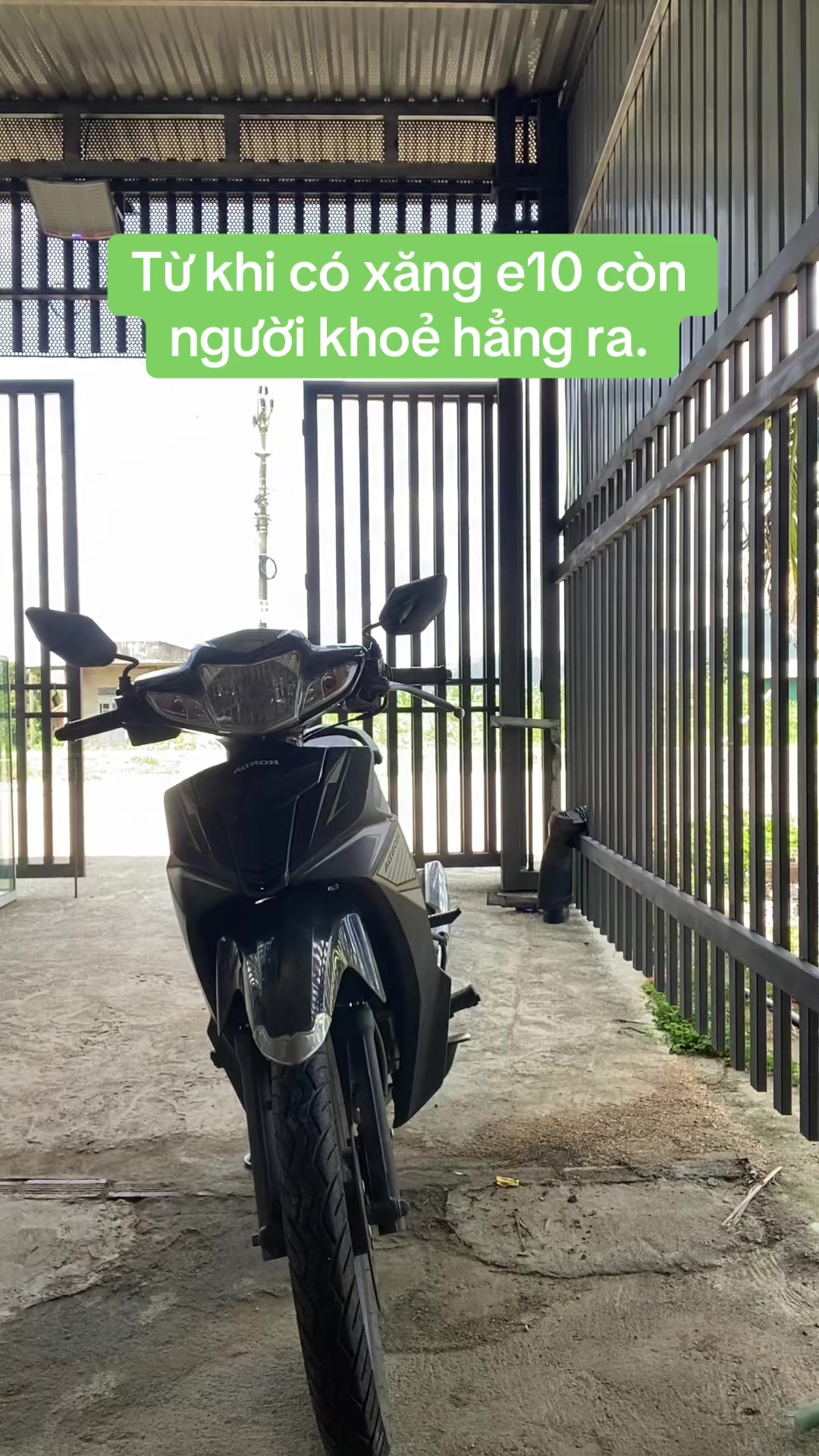@Mật rừng TH&Agrave;NH ĐẠT
