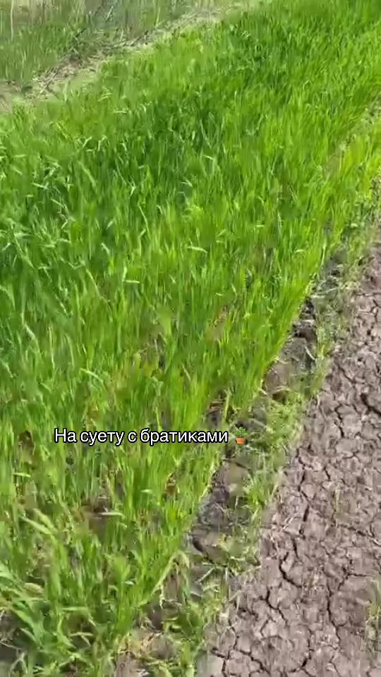 @* Очень важные люди *