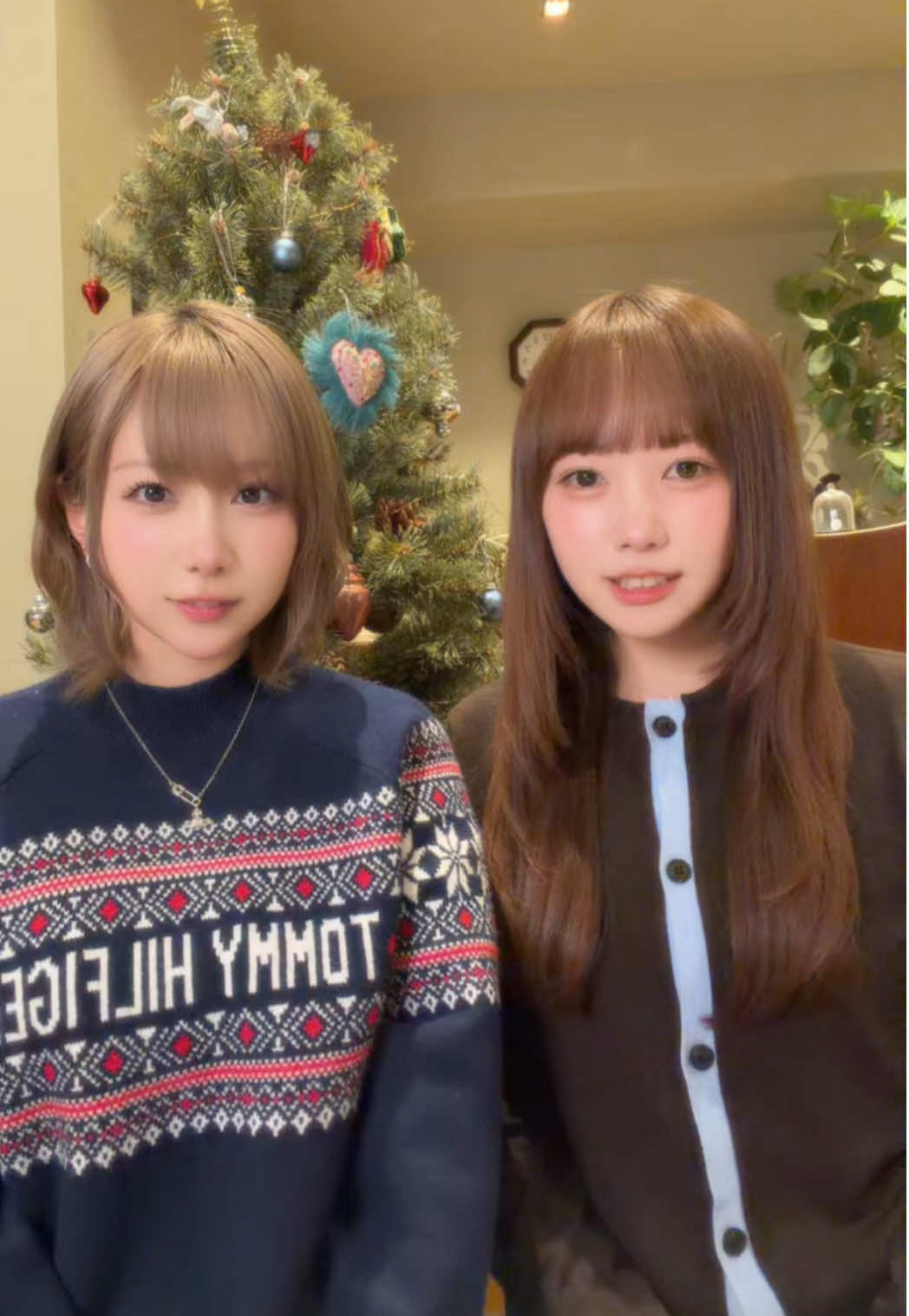 @きりたんぽ🍥