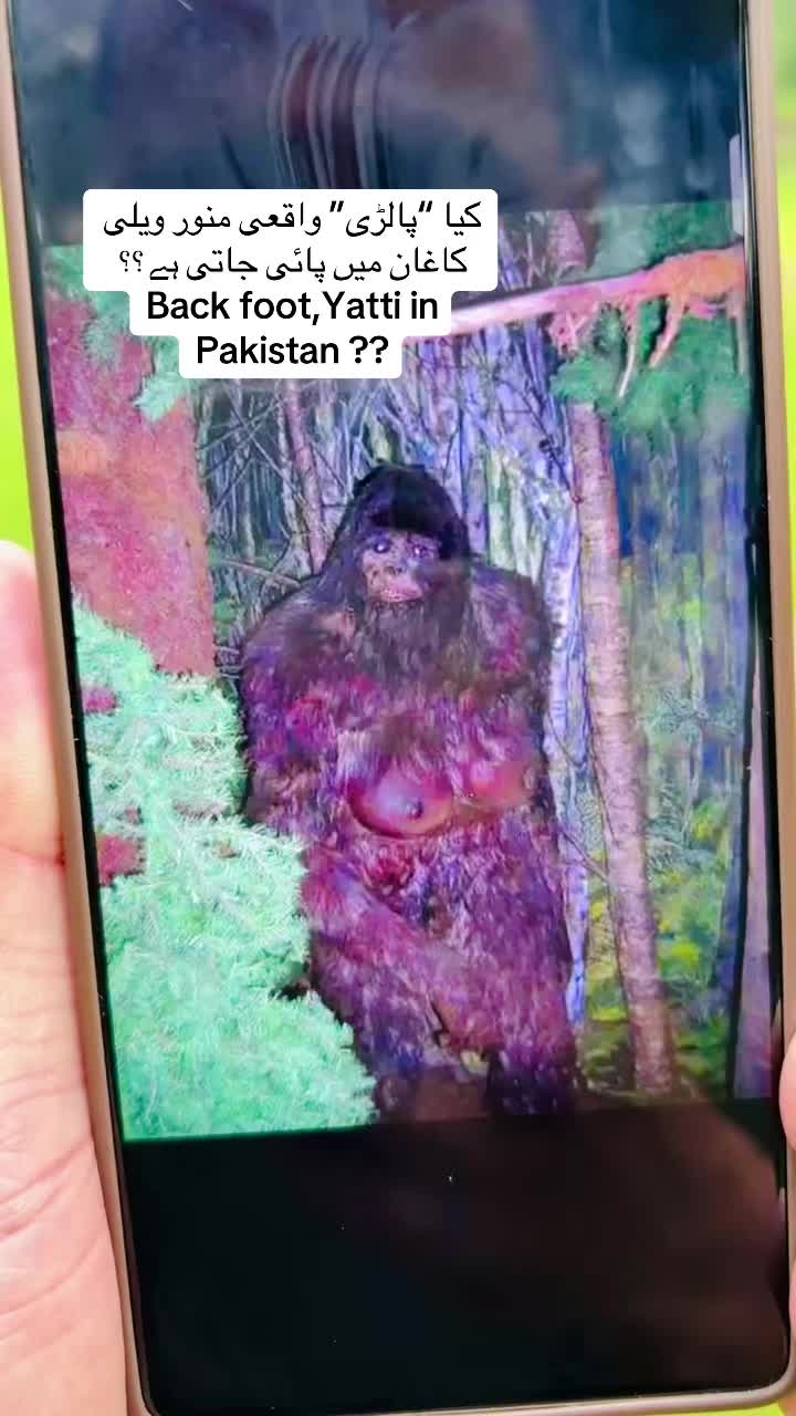 @Yousaf Mushtaq