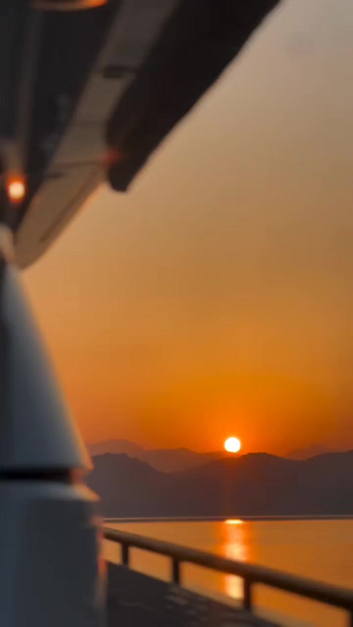 @𐙚˚࿔ 𝐒𝐔𝐍𝐅𝐋𝐎𝐖𝐄𝐑