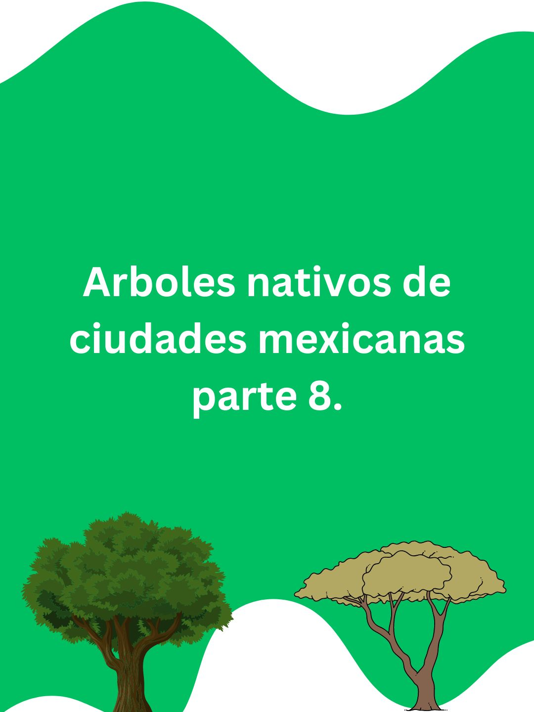 @Ecoversión