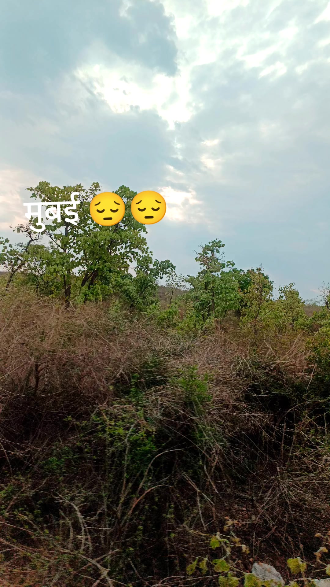 @[Nishad] [ji 💪] &euro;`~&euro; [✓] [✓]