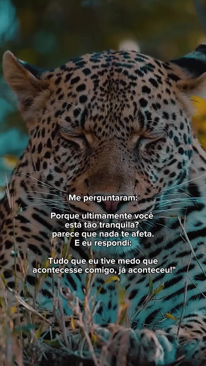 @𝙁𝙚𝙡𝙞𝙣𝙖.𝙈𝙚𝙣𝙩𝙚96🐆❤️