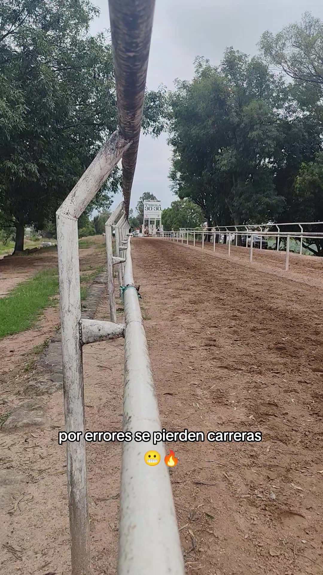 @carriles altos de jalisco🐎