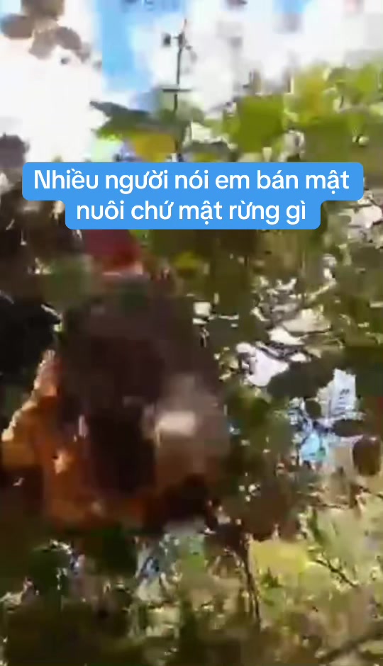 @Mật rừng Tây nguyên Đaklak