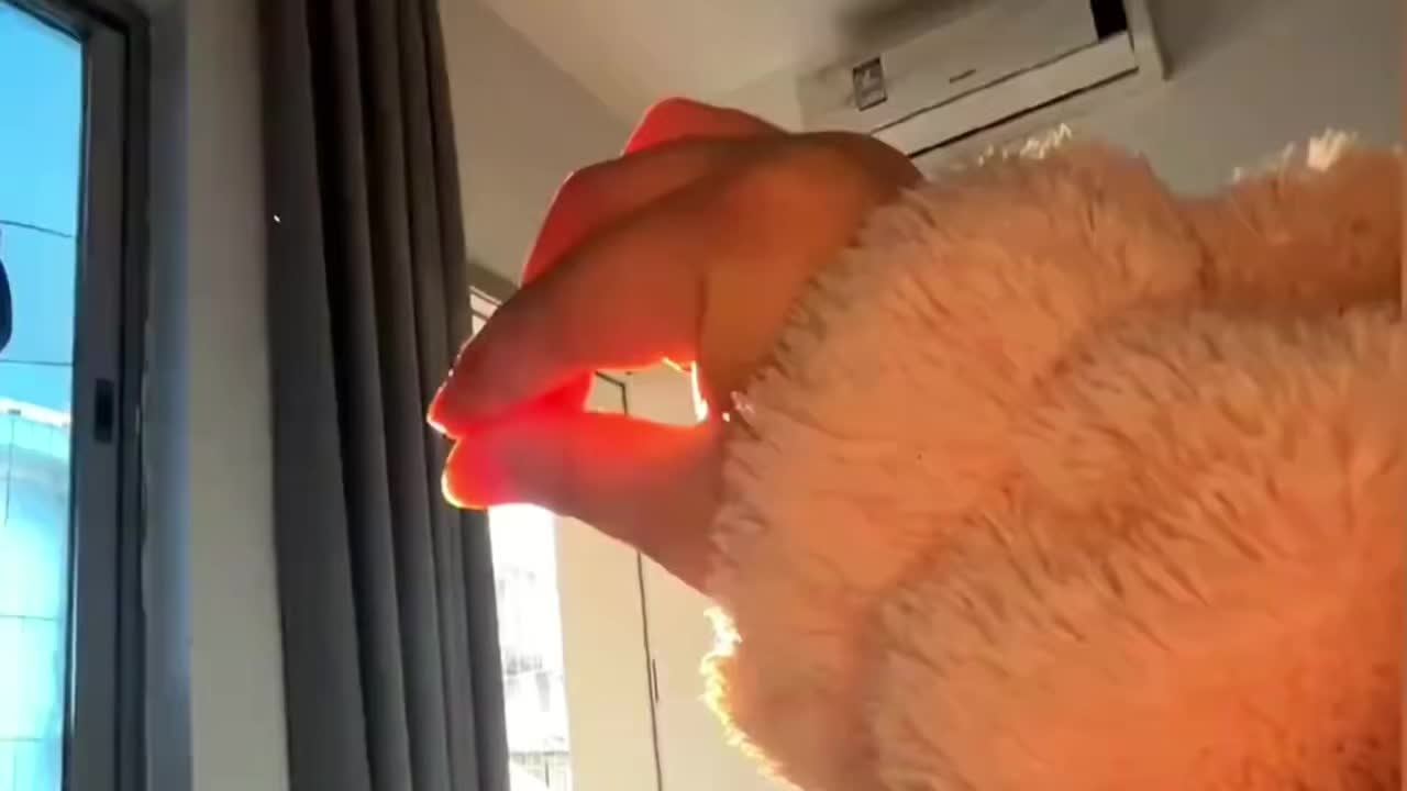 @三角洲俱樂部