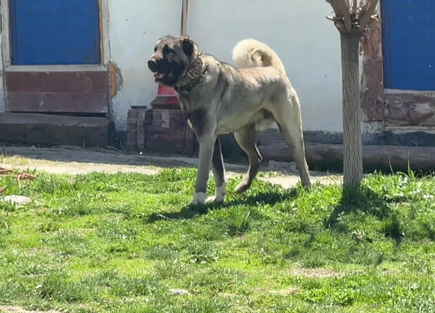 @Umut taşdelen