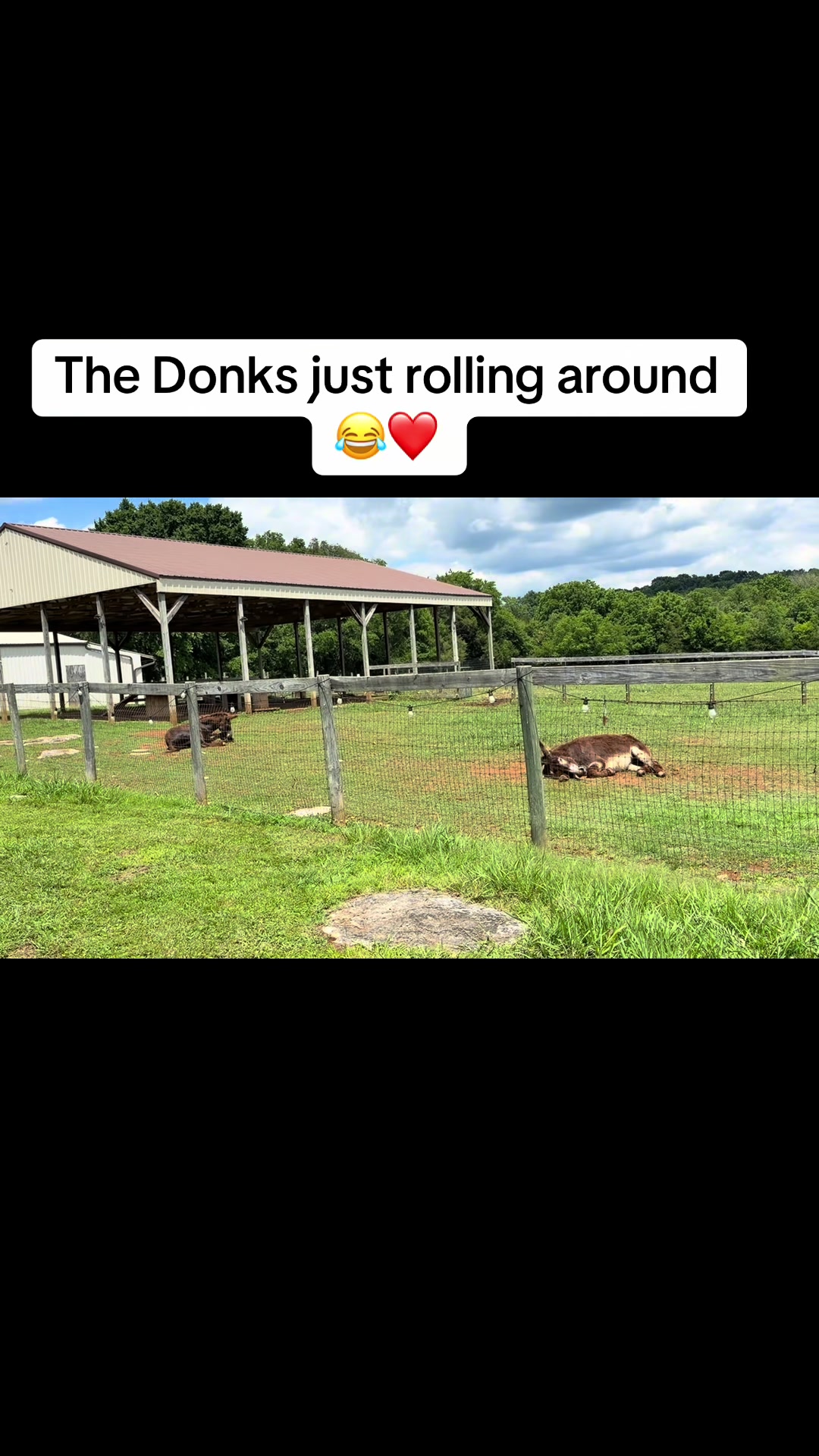 @HiddenDoorFarm