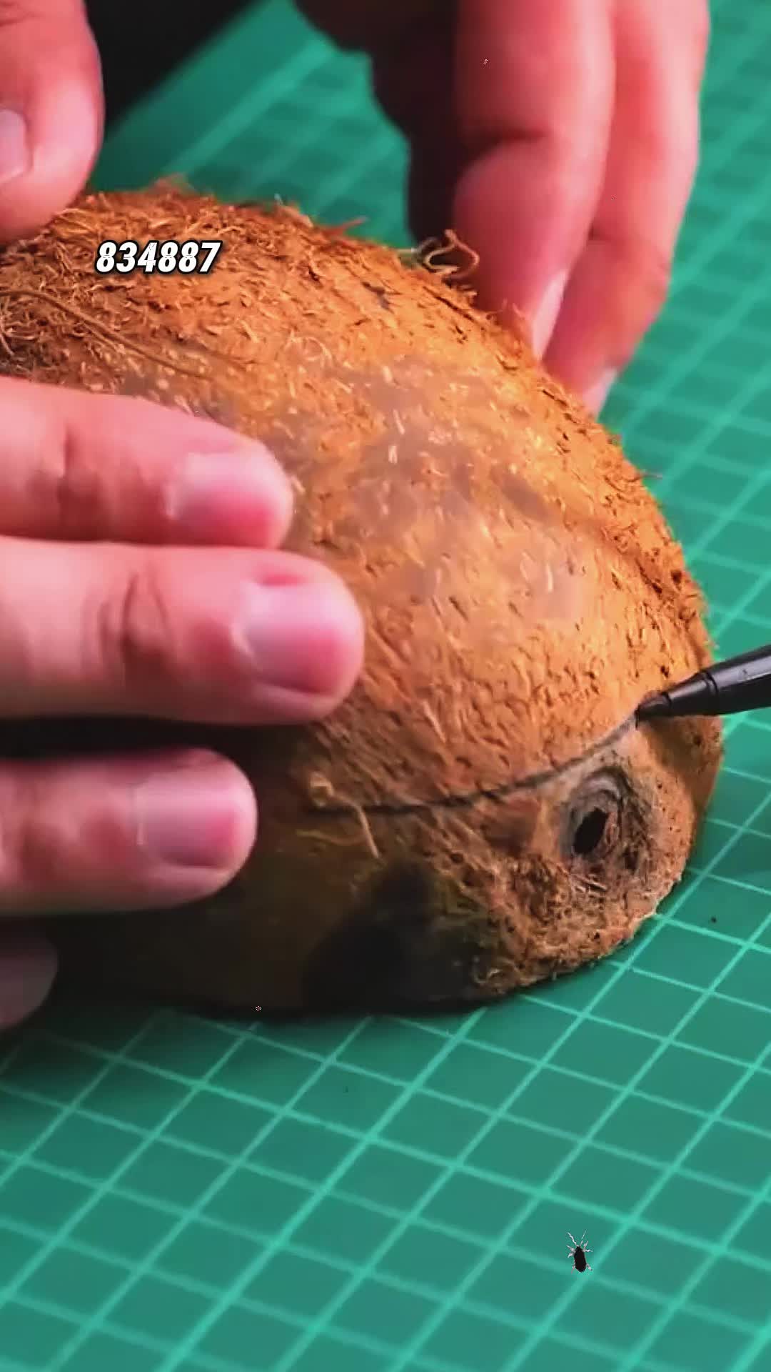 @palmesbzqrj