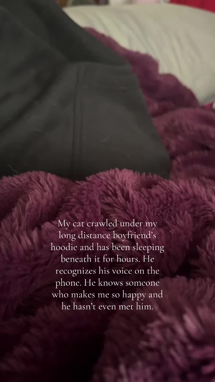 @olive.is.here_1