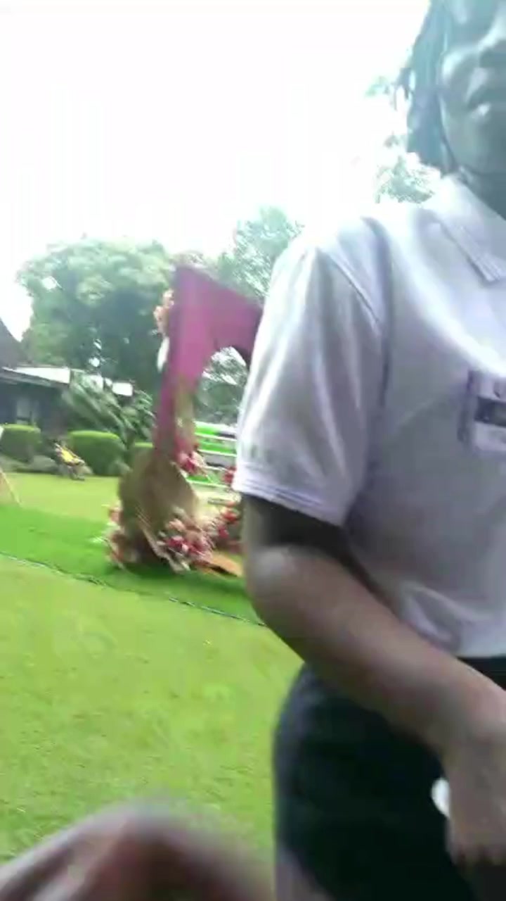 @regal99