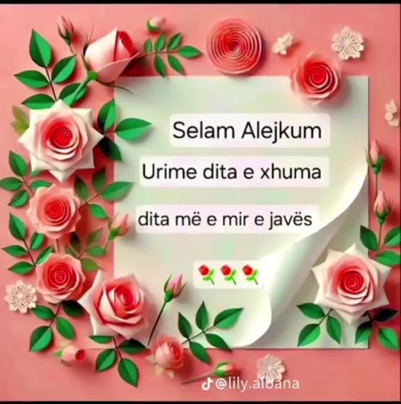 @lily.albana