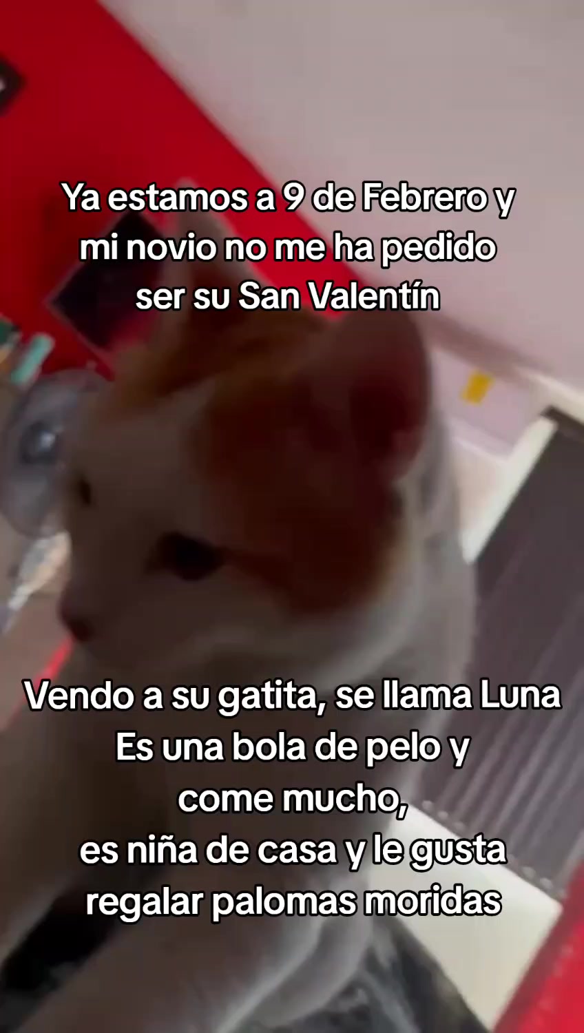 @Sofia Akuma