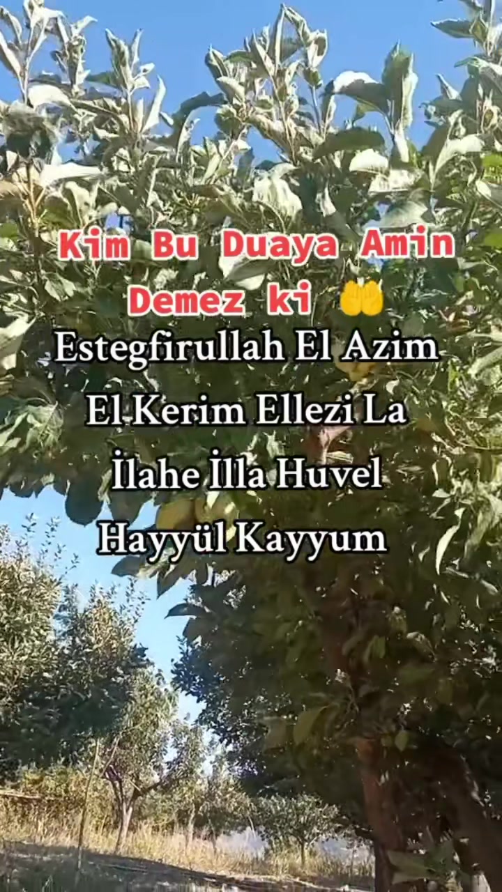 @papatyamm