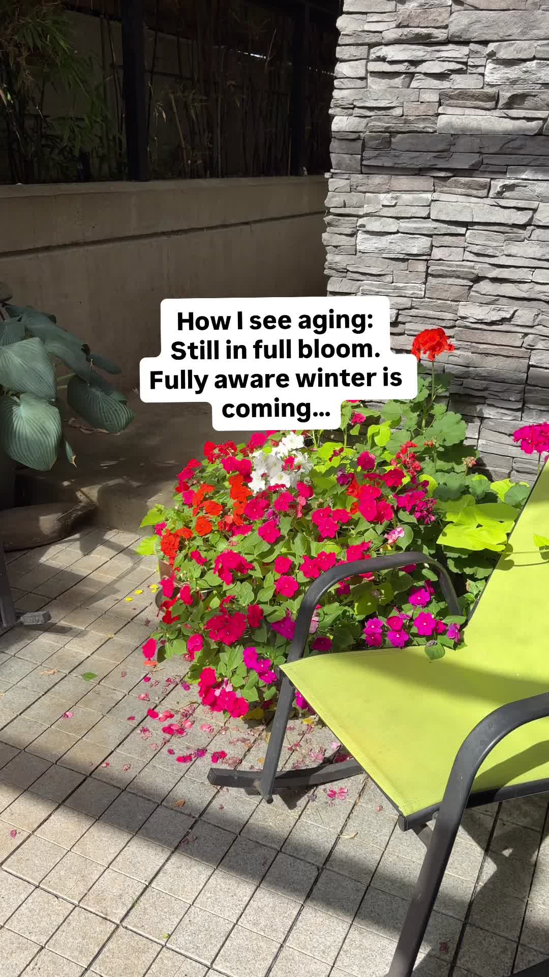@Boomer in a Bubble