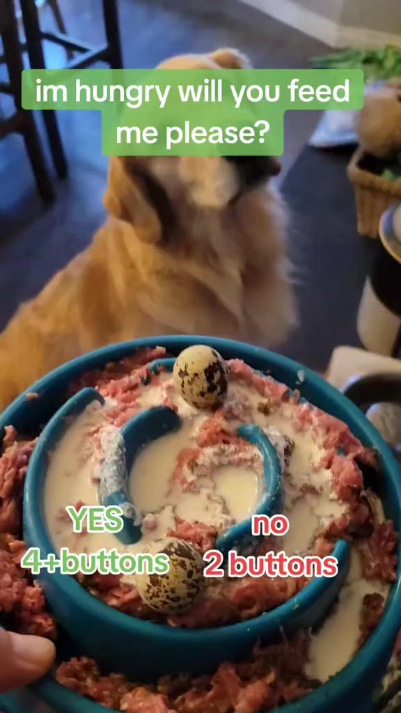 @🐶Griffin