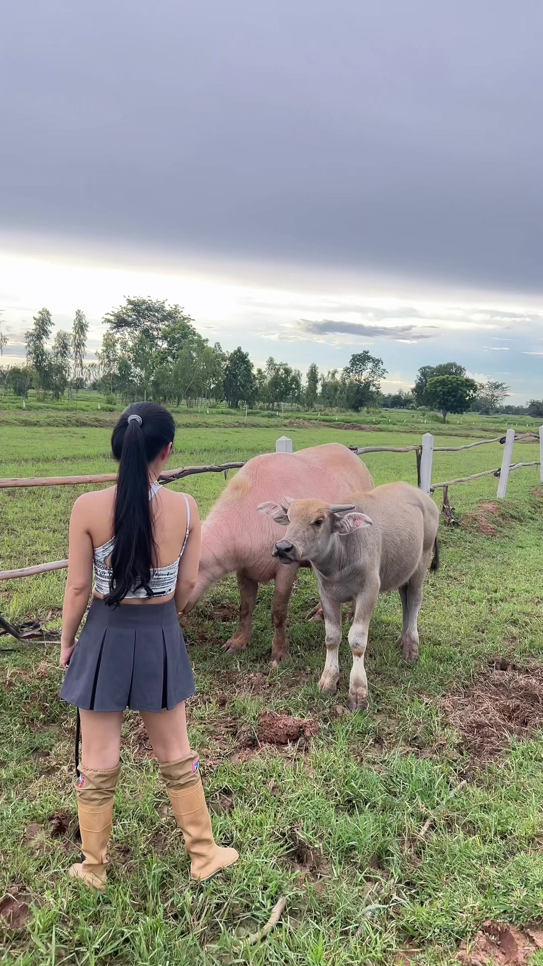 @AA Aranya Farm