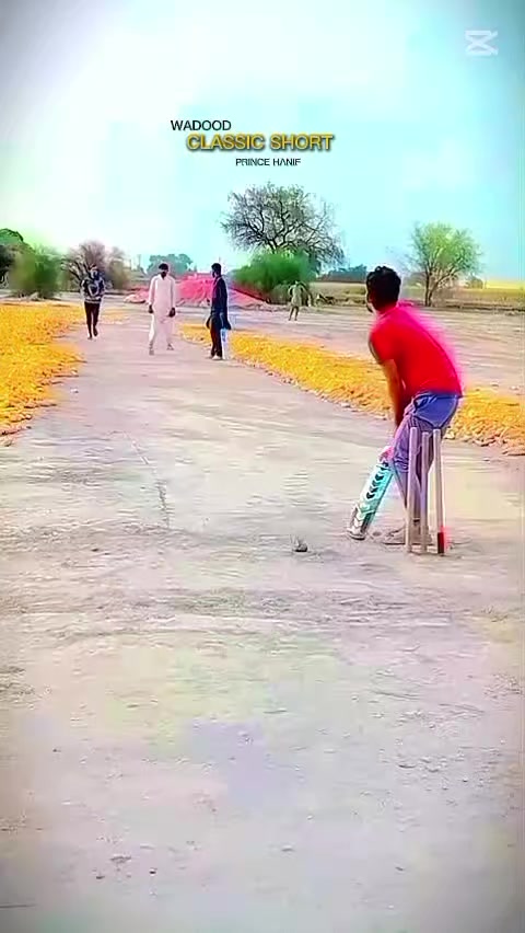 @Rao Aleem