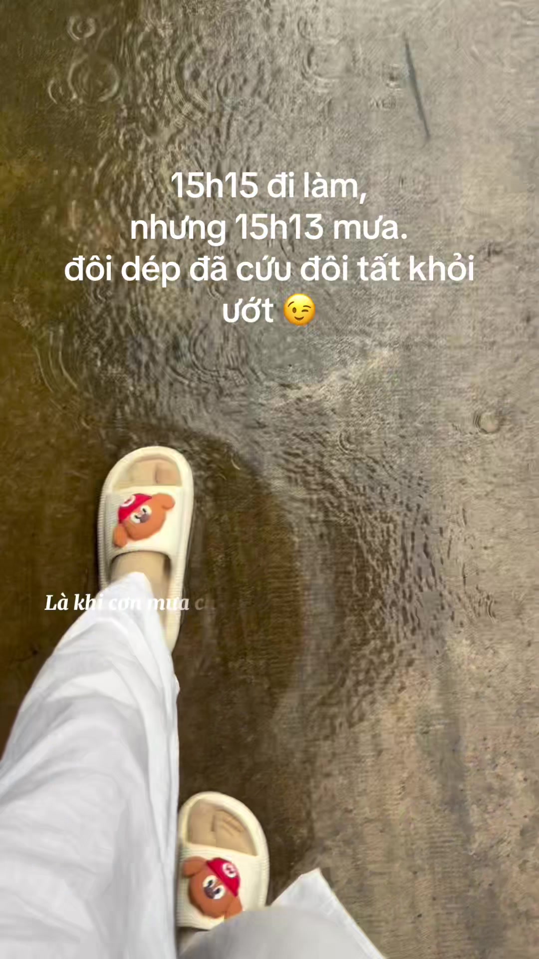 @TRANG
