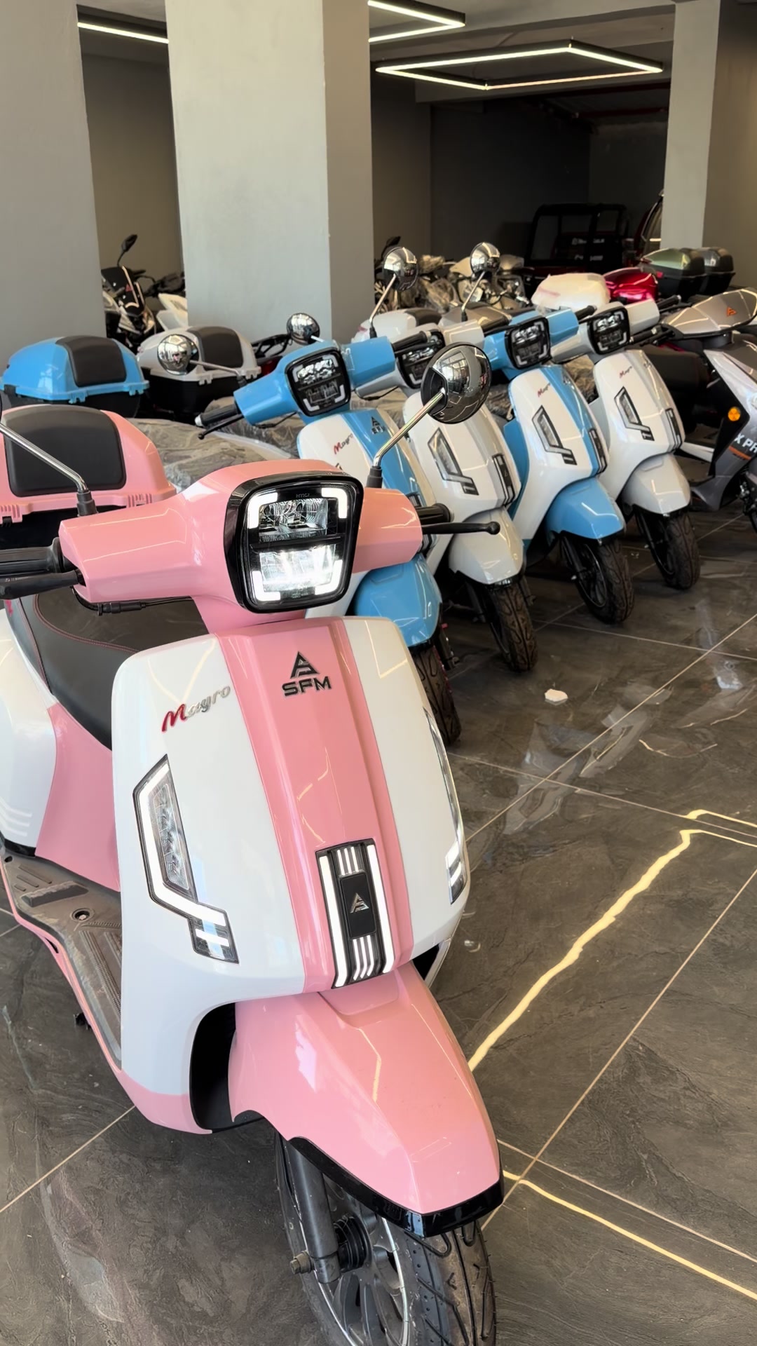 @CAN MOTORSHATAY