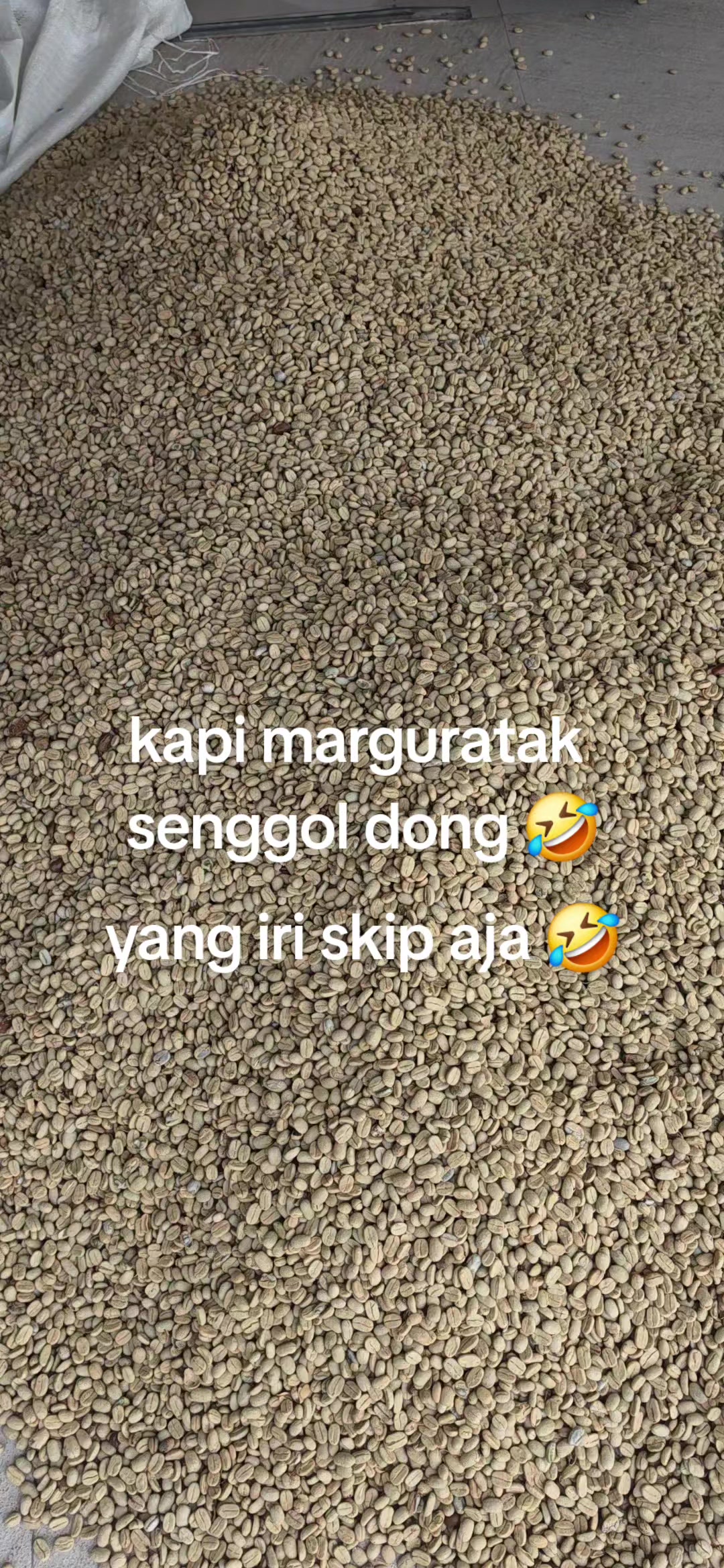 @manogi situmorang marguratak