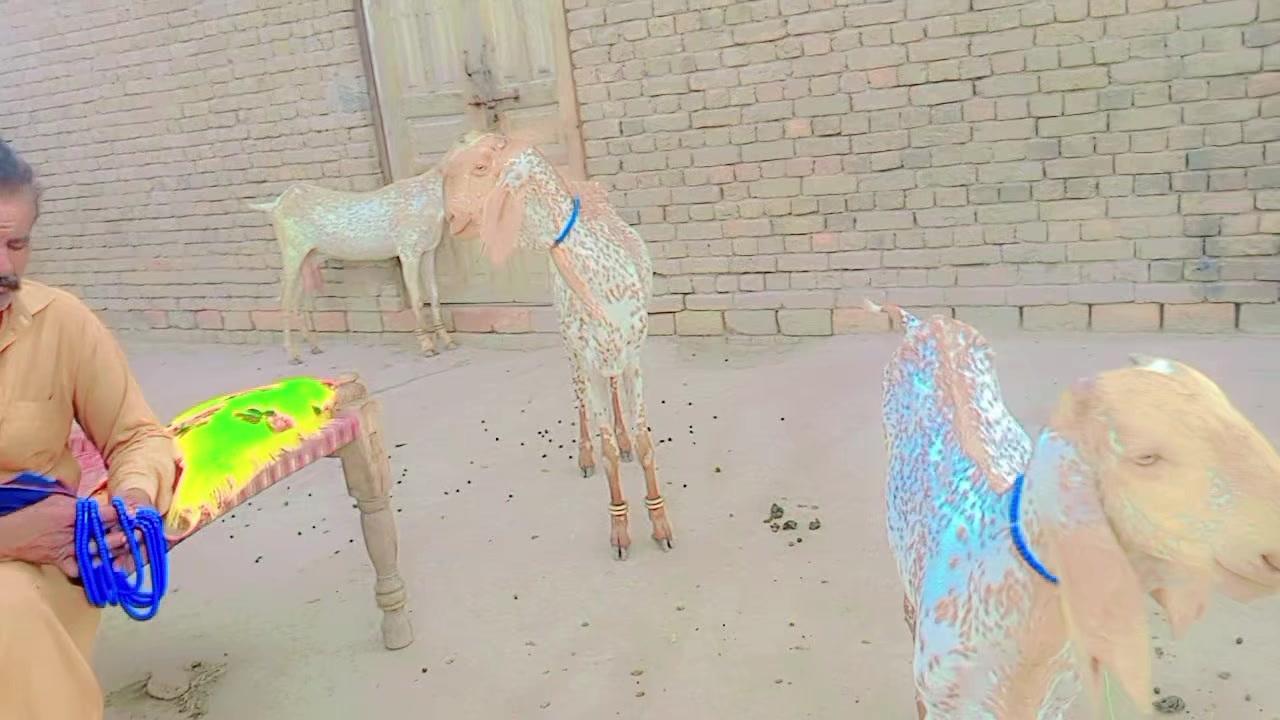 @Malik Rashid