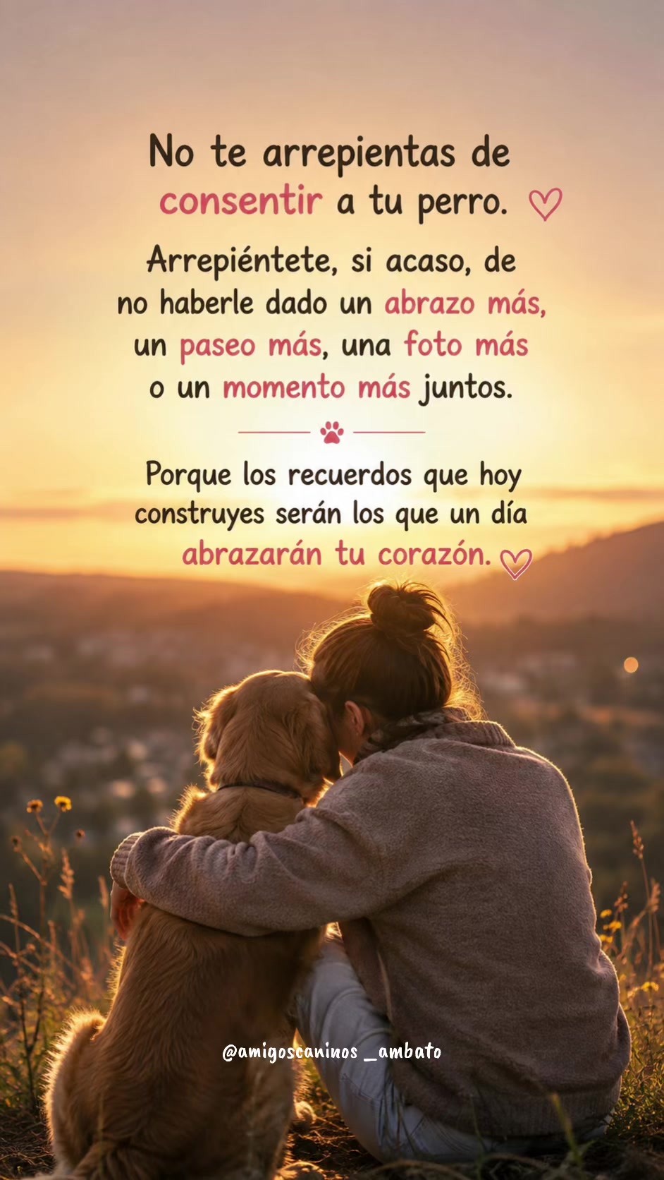 @Amigoscaninos_Ambato
