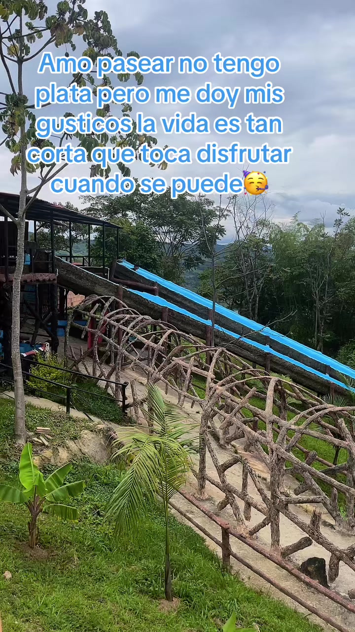 @Carmen Julia Pérez S
