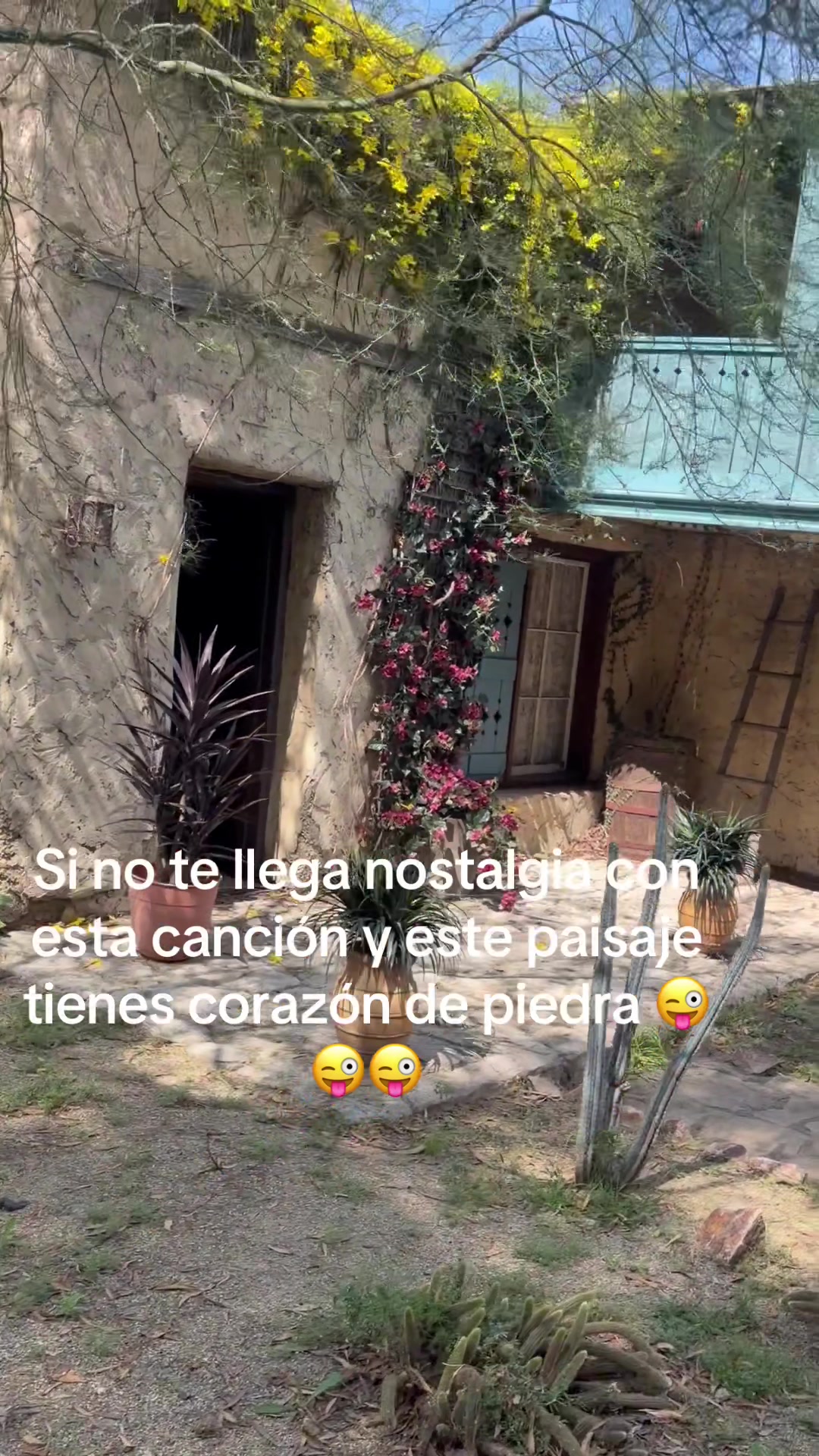 @El chicken man