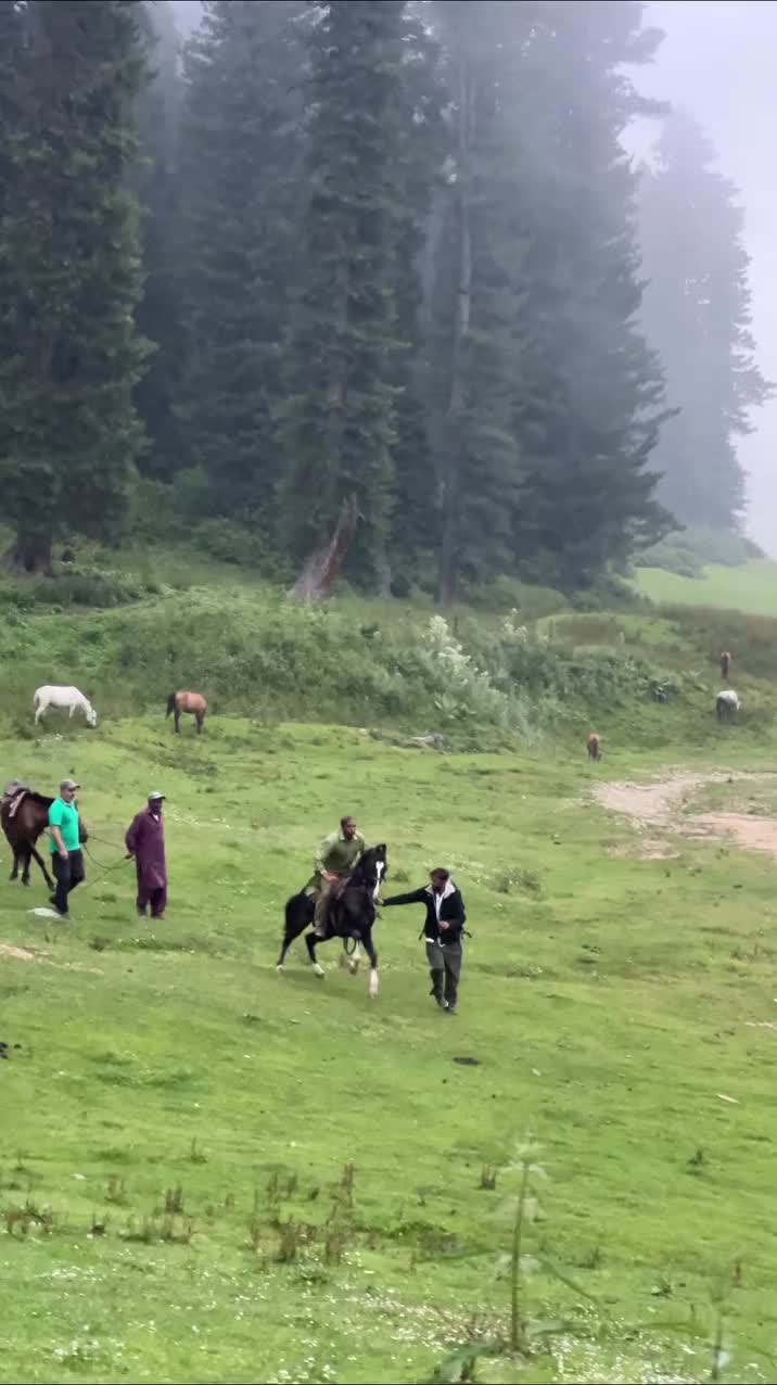 @ThunderGallops