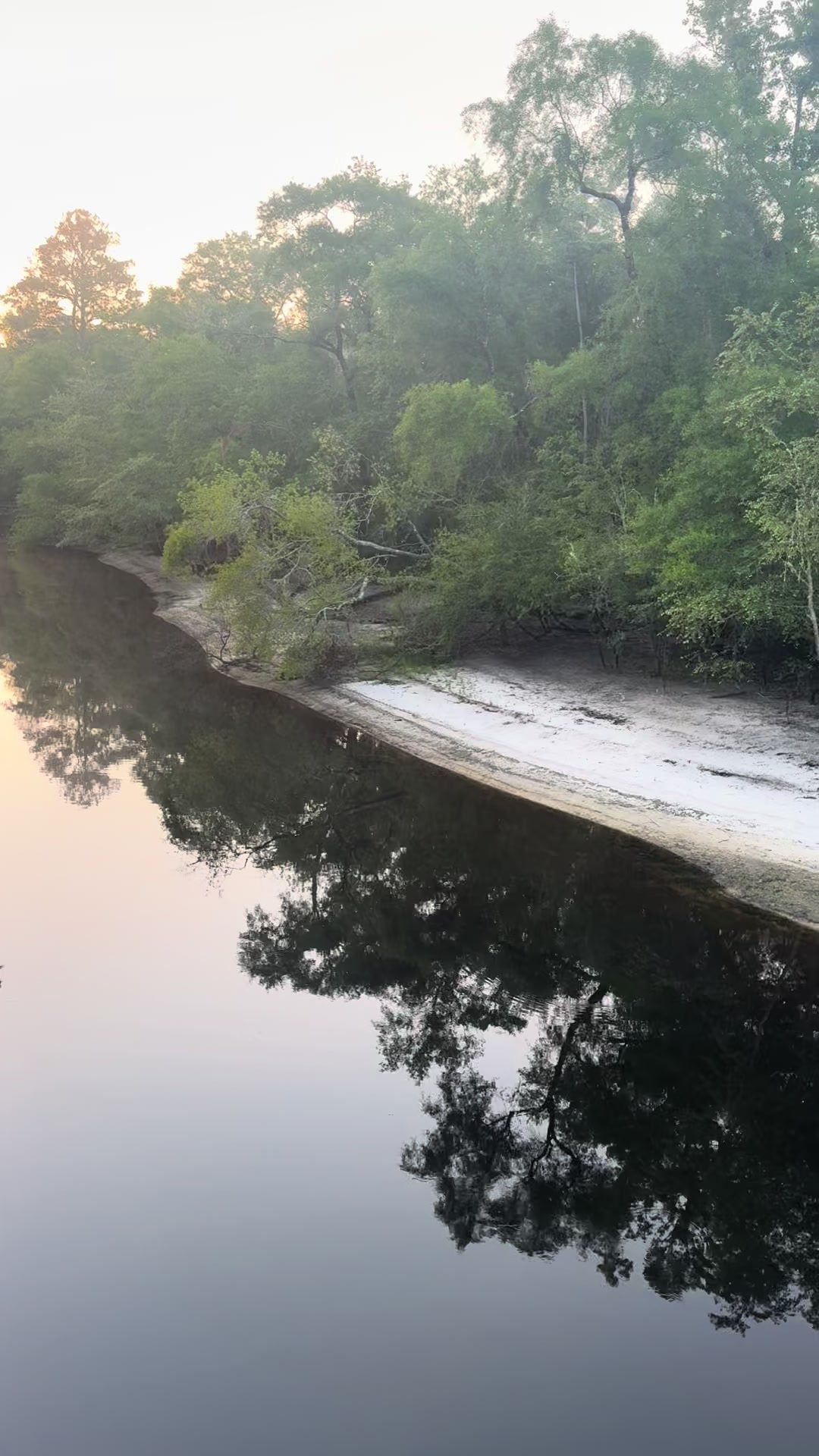 @Satilla River king