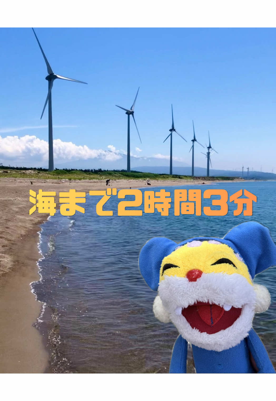 @micchon0809
