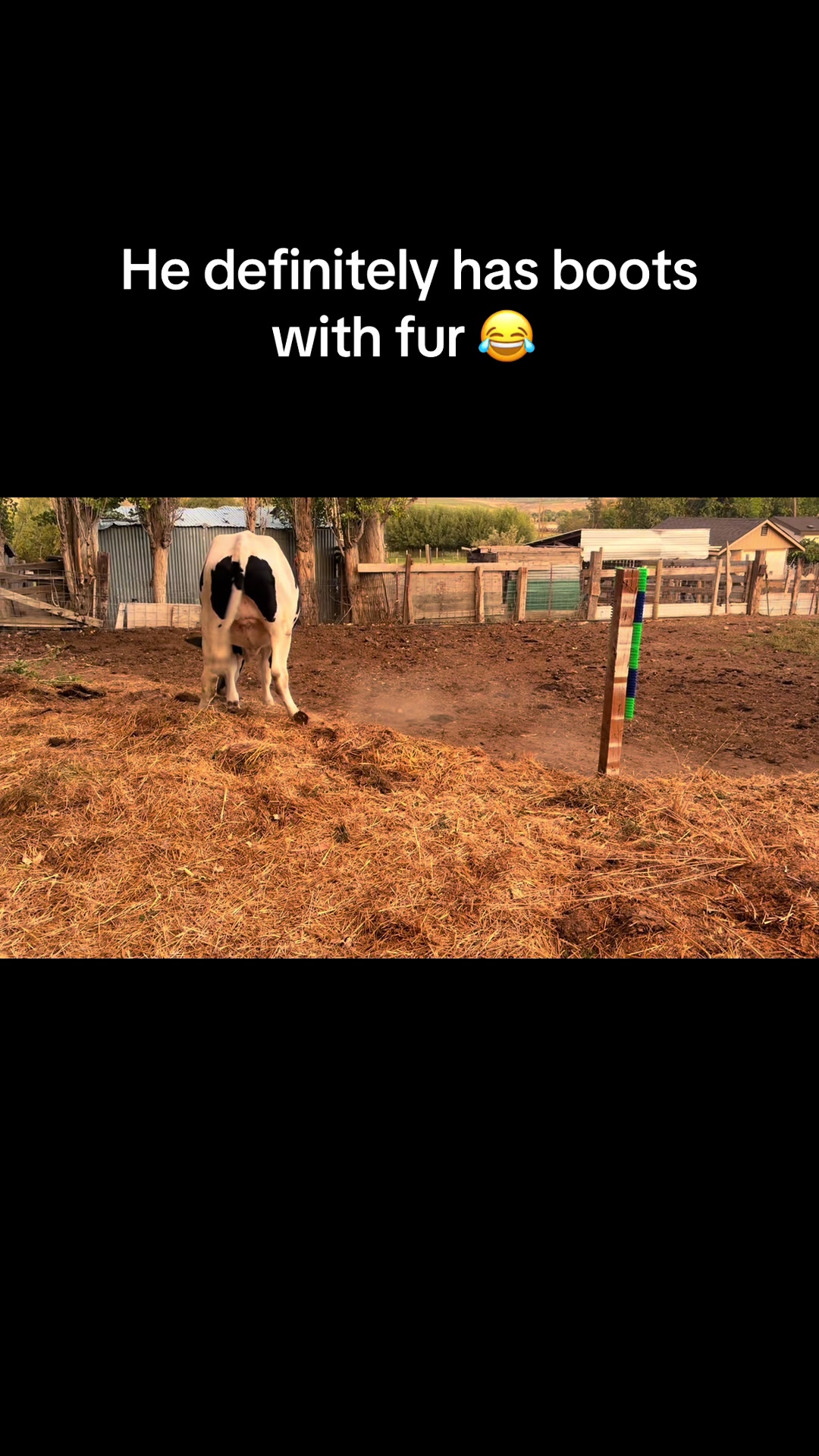 @WollamFarm