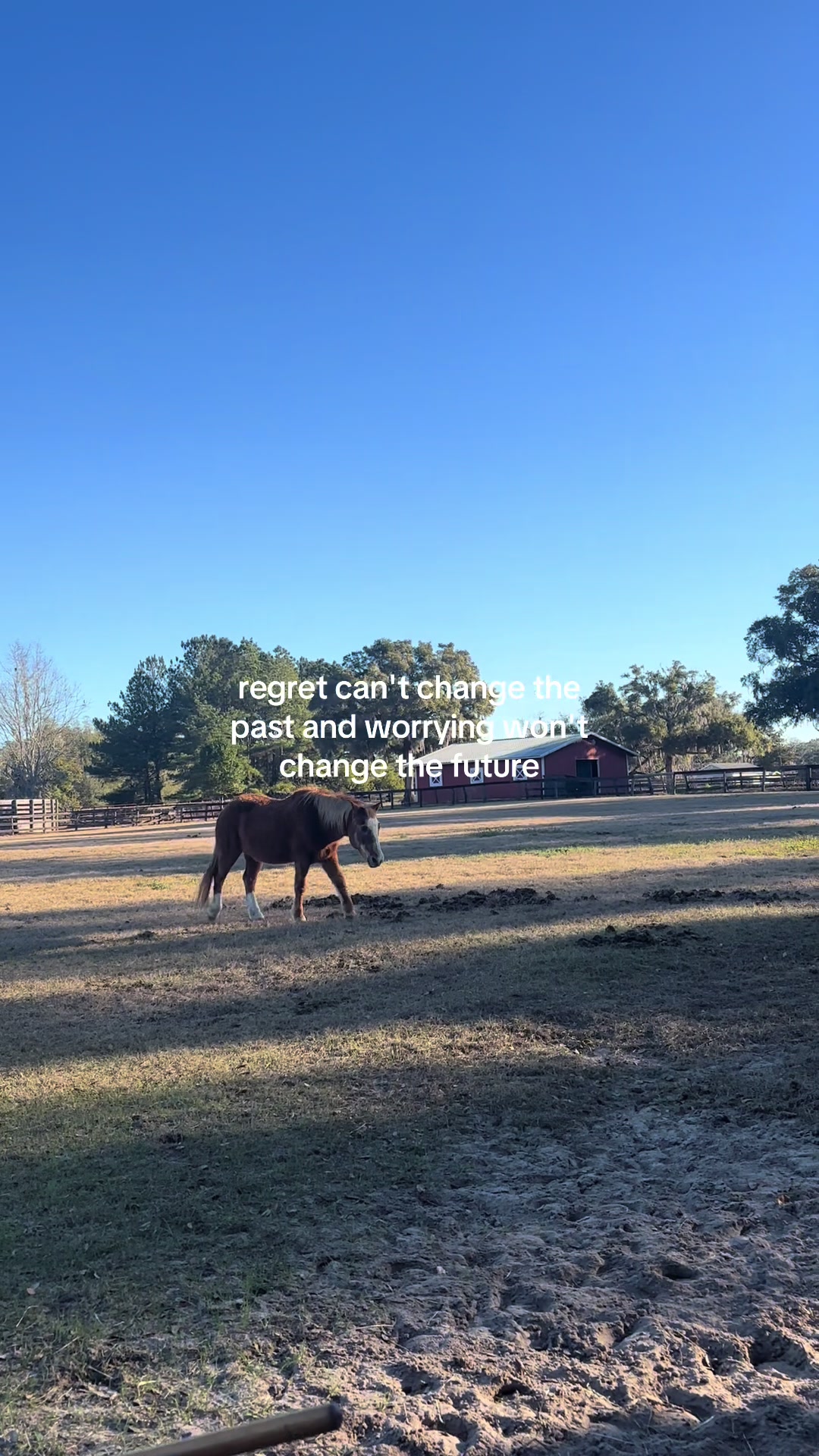 @countryroots_6_7_