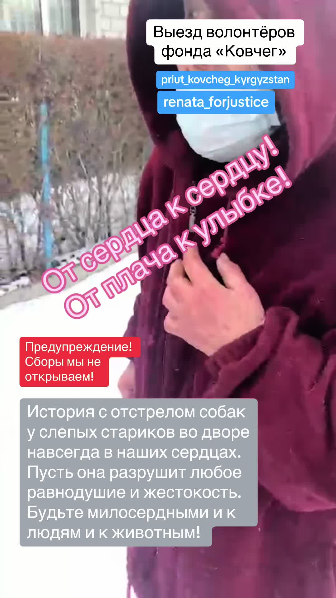 @Приют Ковчег Кыргызстан
