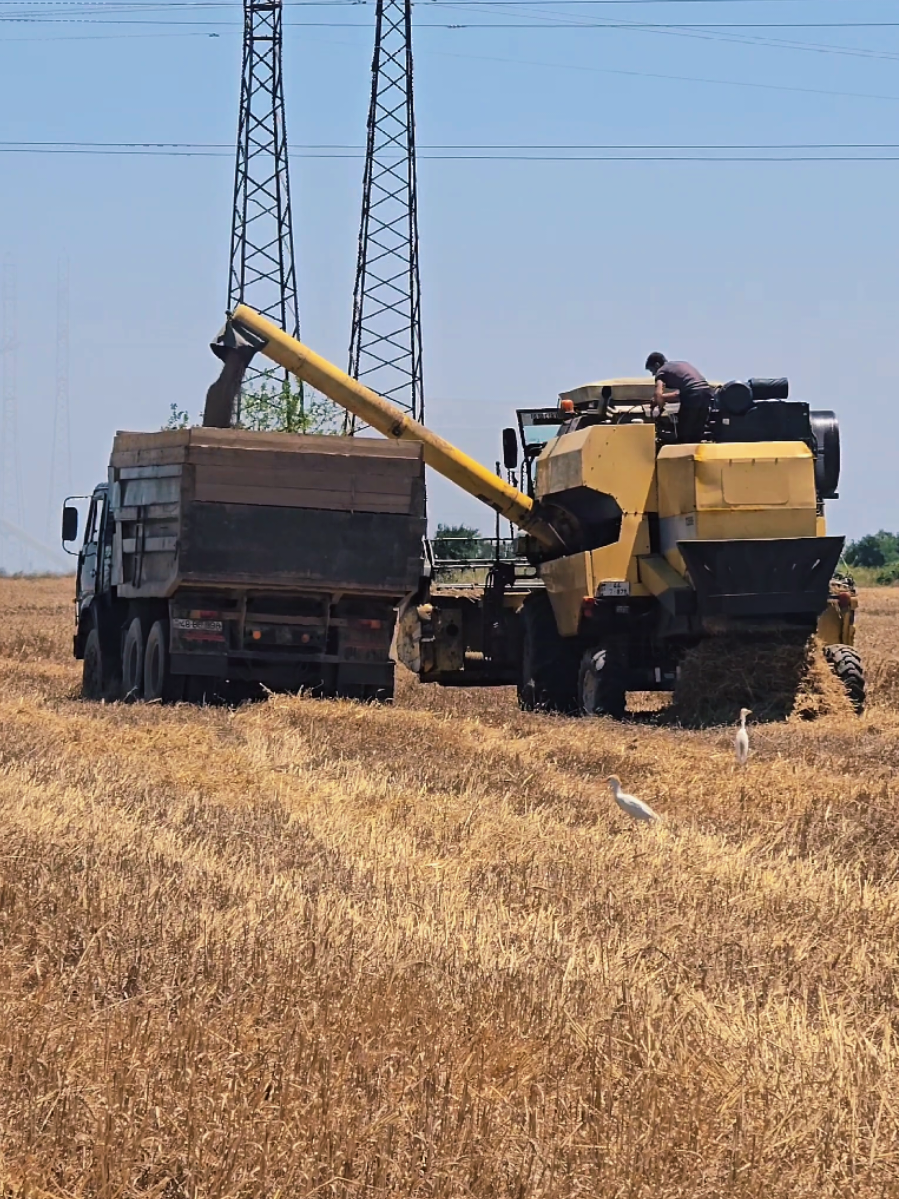 @Farmer ildırım