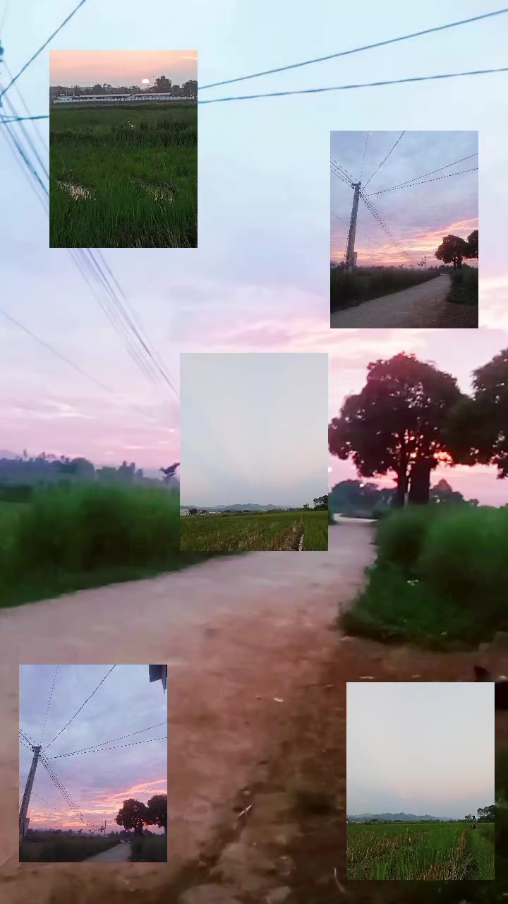 @NẤM LINH CHI1990🍄🟫🇻🇳