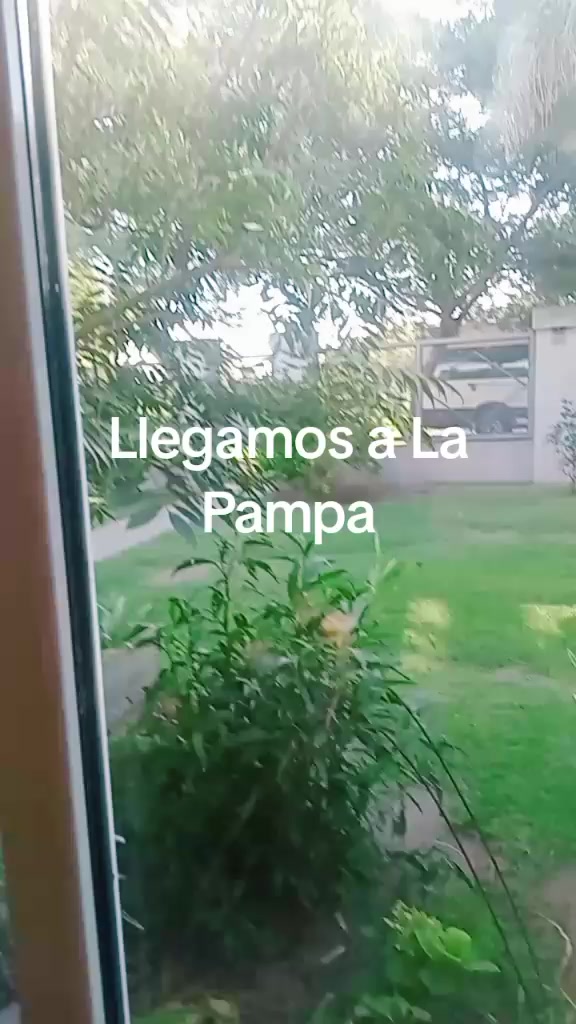 @noedemar