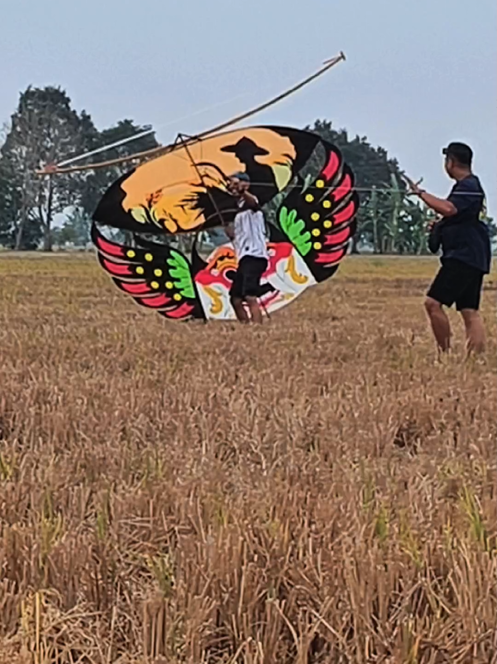 @Pecinta Buah PKY