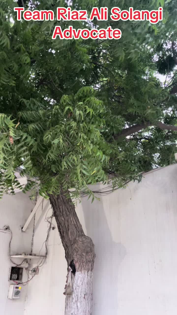 @Advocate Riaz Ali Solangi