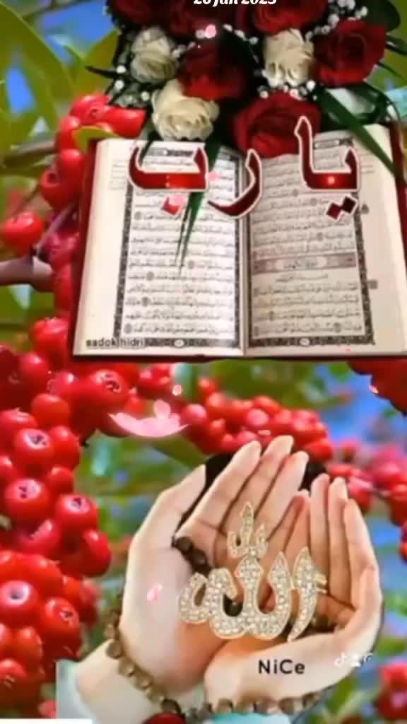 @Belal Hossain