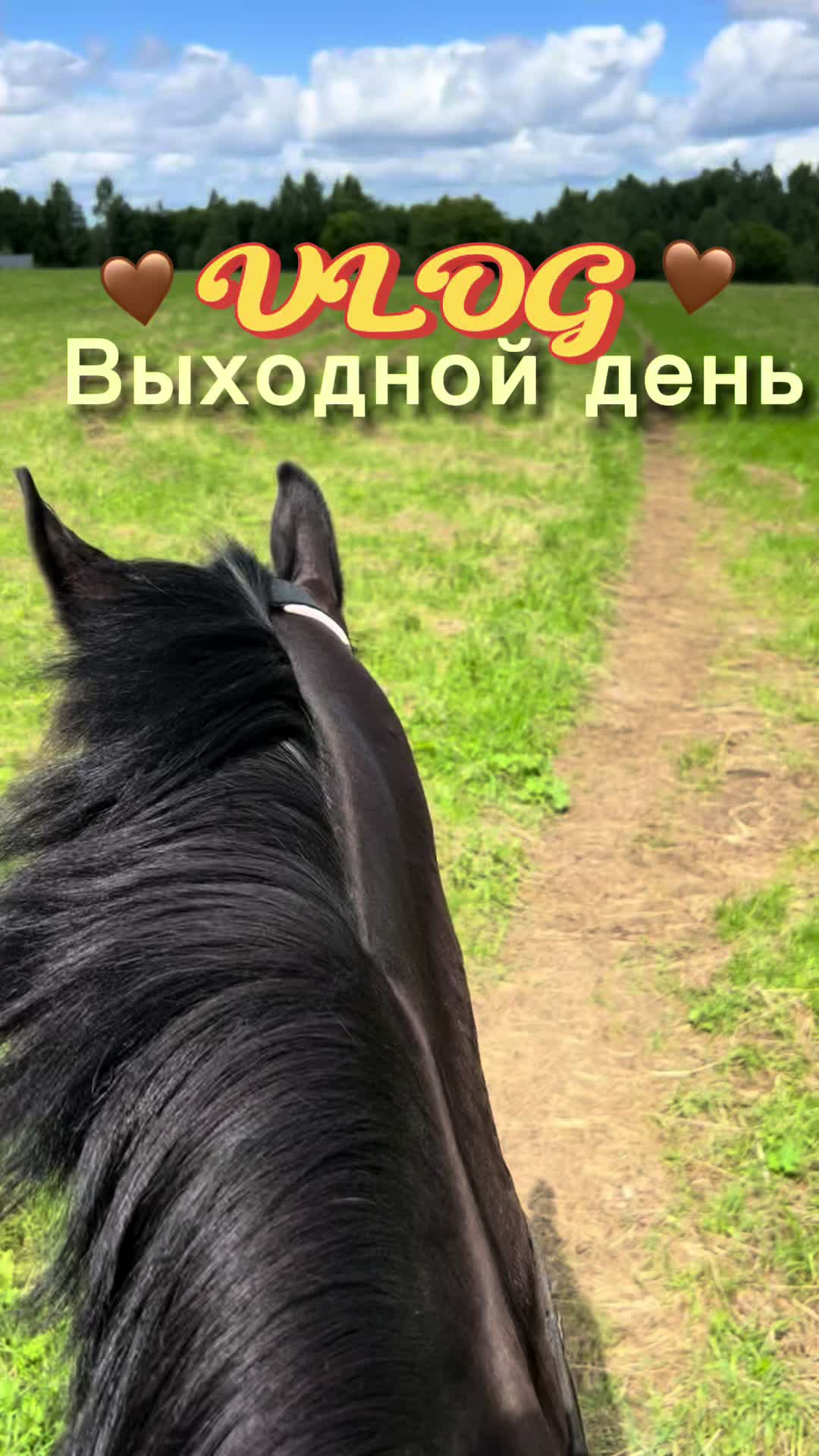 @ТГК: Sonya and the Trotters🐴
