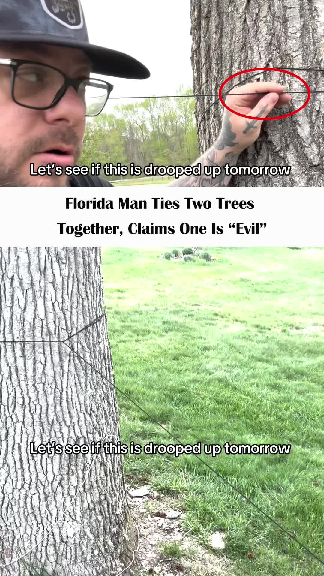 @Nnnewss