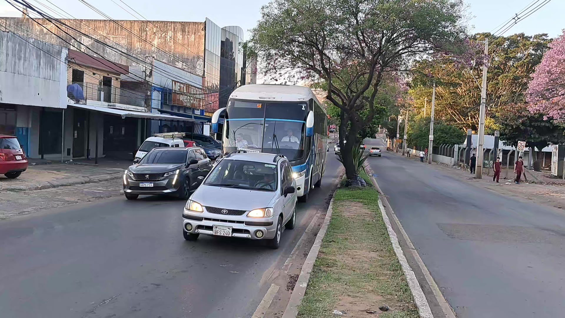 @Amantes de la Busología